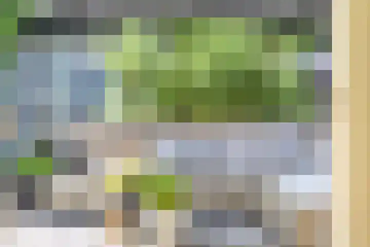 Langewerf 15 Hank thumbnail 43