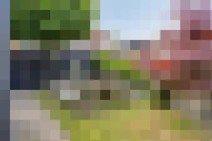 Langewerf 15 Hank thumbnail 44