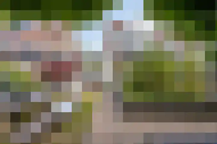 Langewerf 15 Hank thumbnail 45