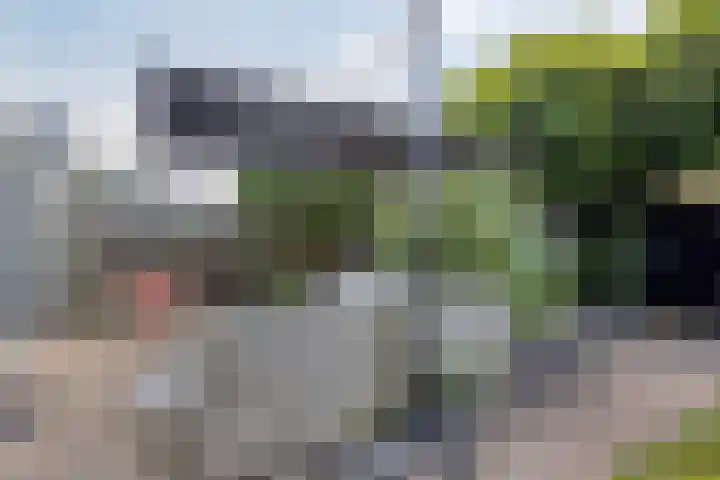 Langewerf 15 Hank thumbnail 46