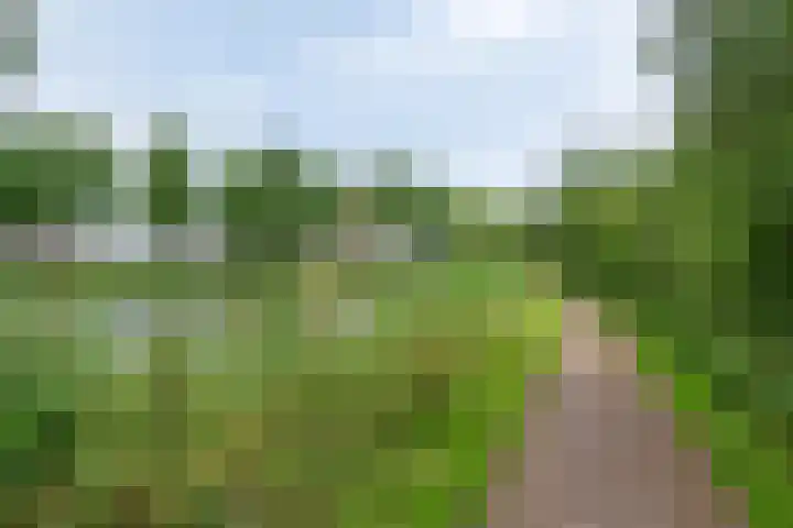 Langewerf 15 Hank thumbnail 47