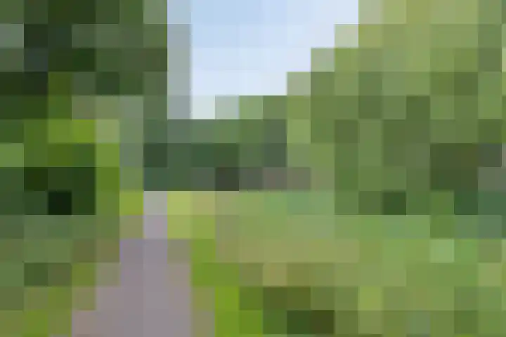 Langewerf 15 Hank thumbnail 48