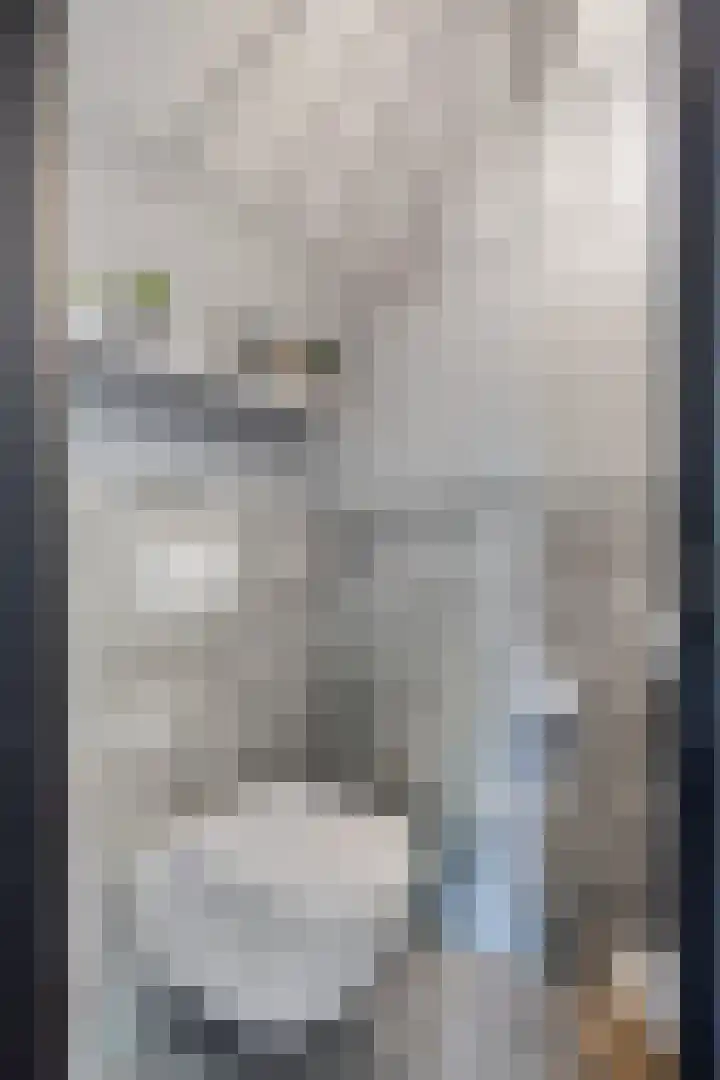 Langewerf 15 Hank thumbnail 5