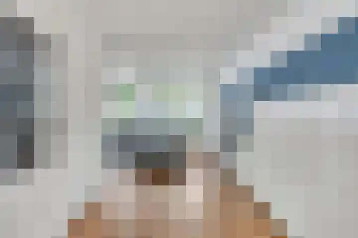 Langewerf 15 Hank thumbnail 6