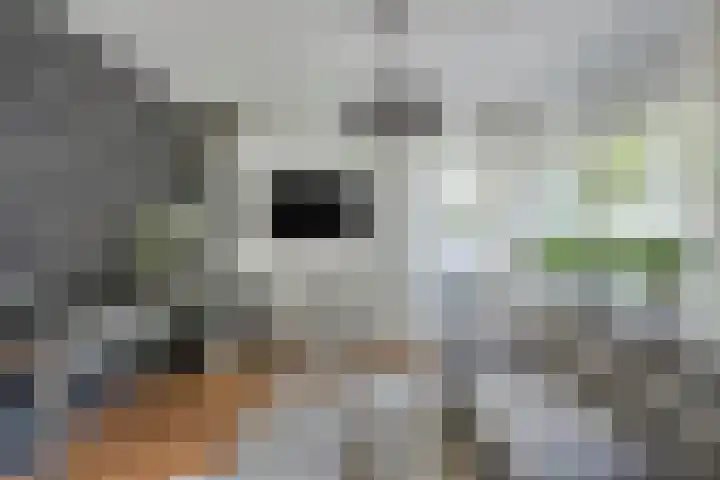 Langewerf 15 Hank thumbnail 9