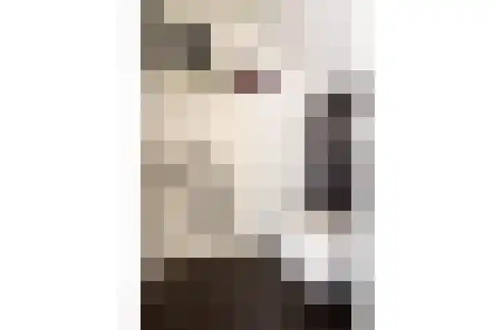 Langewerf 22 Hank thumbnail 16