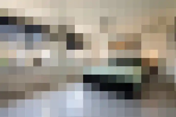 Langewerf 22 Hank thumbnail 23