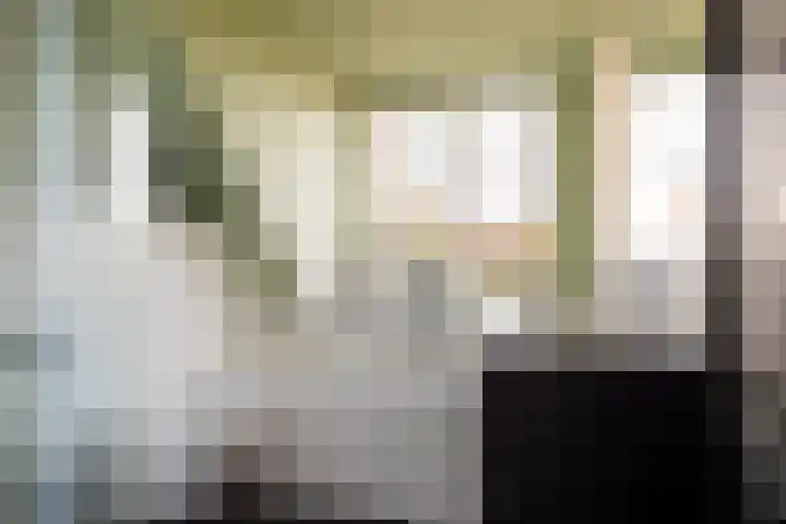 Langewerf 22 Hank thumbnail 25