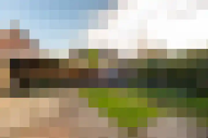 Langewerf 22 Hank thumbnail 31