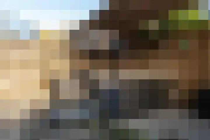 Langewerf 22 Hank thumbnail 32