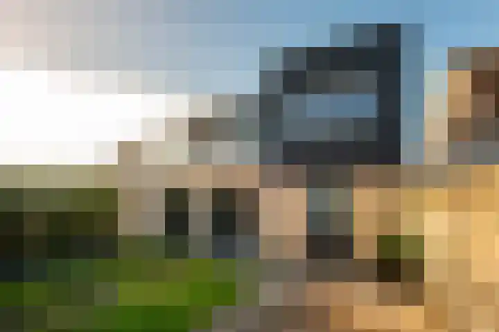 Langewerf 22 Hank thumbnail 33