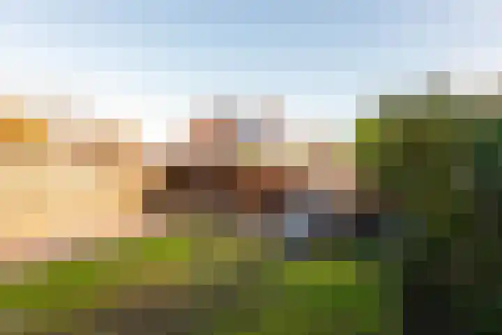 Langewerf 22 Hank thumbnail 35
