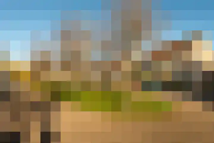 Langewerf 22 Hank thumbnail 39
