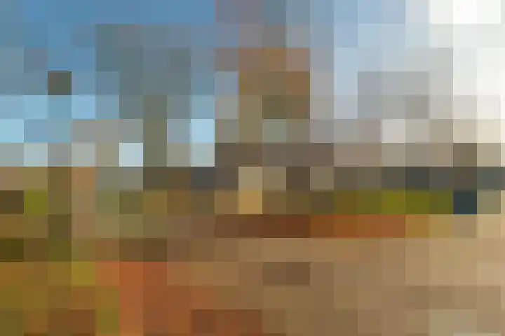 Langewerf 22 Hank thumbnail 40
