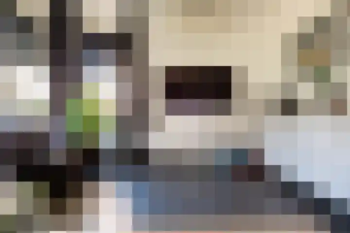 Langewerf 22 Hank thumbnail 7