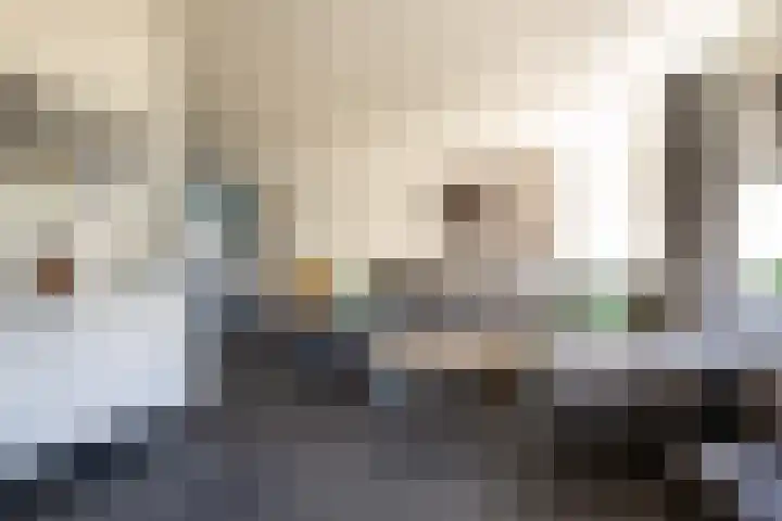 Langewerf 22 Hank thumbnail 8