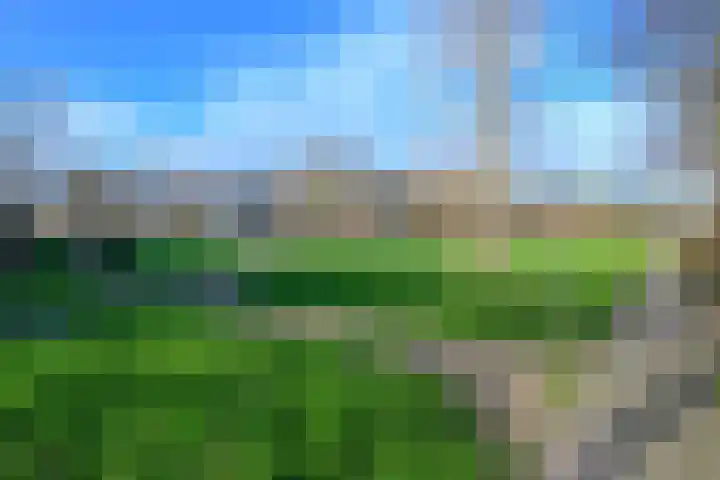 Langeweydt 30 Medemblik thumbnail 42