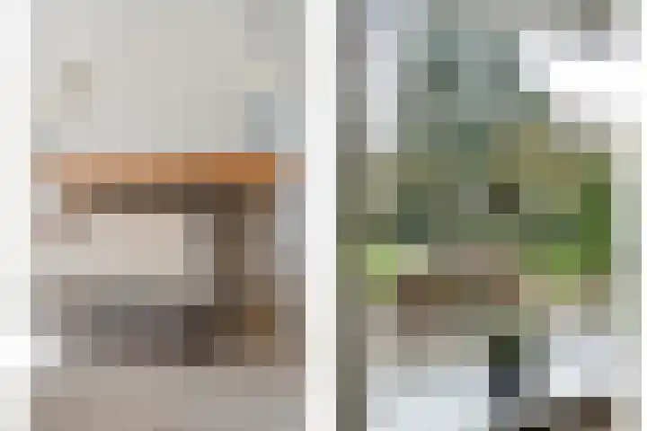 Langewijk 129 Dedemsvaart thumbnail 10