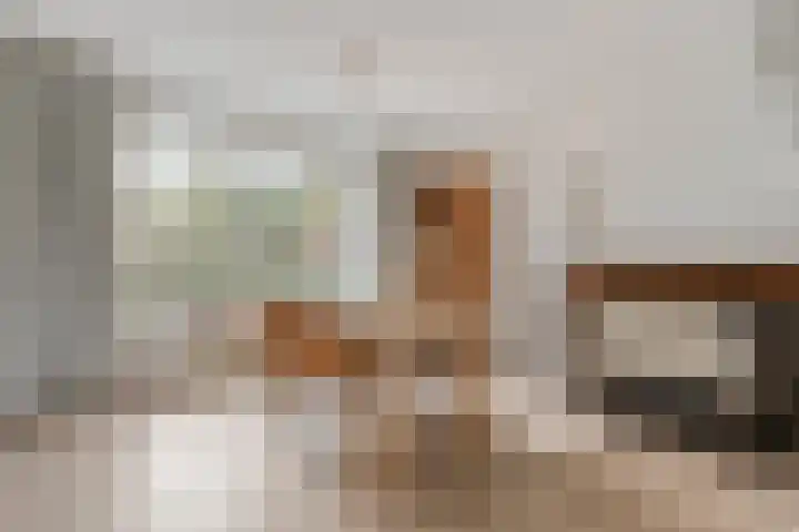 Langewijk 129 Dedemsvaart thumbnail 14