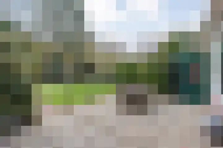 Langewijk 129 Dedemsvaart thumbnail 42