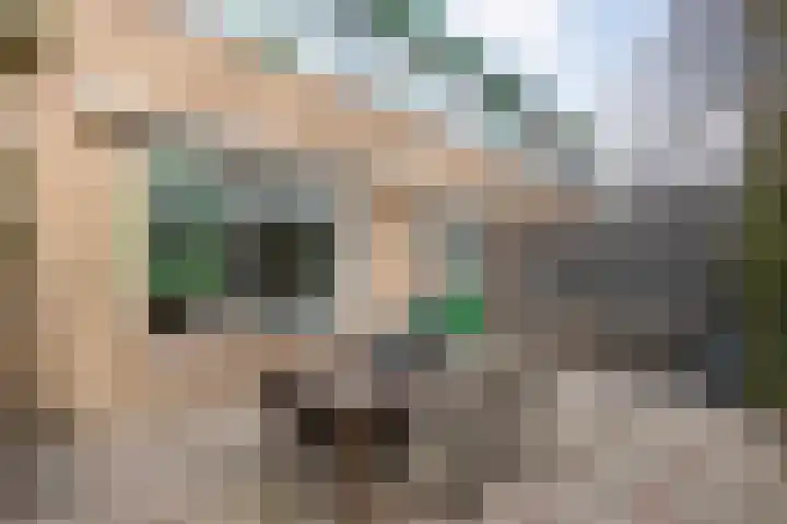 Langewijk 129 Dedemsvaart thumbnail 43