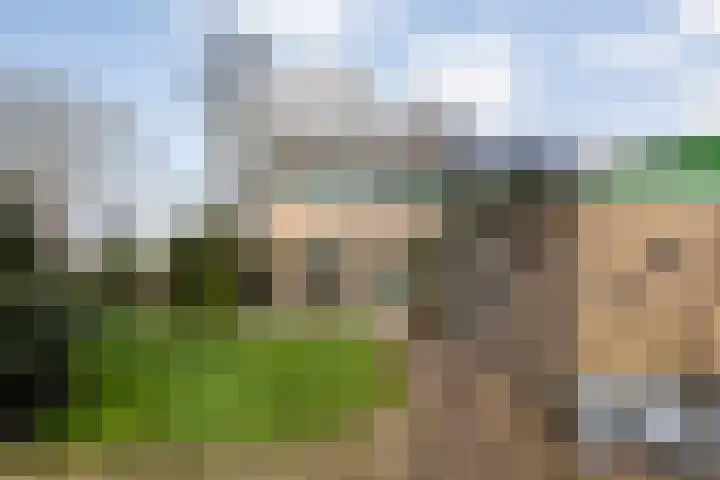 Langewijk 129 Dedemsvaart thumbnail 46