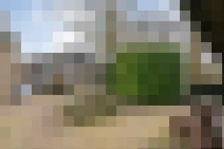Langewijk 129 Dedemsvaart thumbnail 47