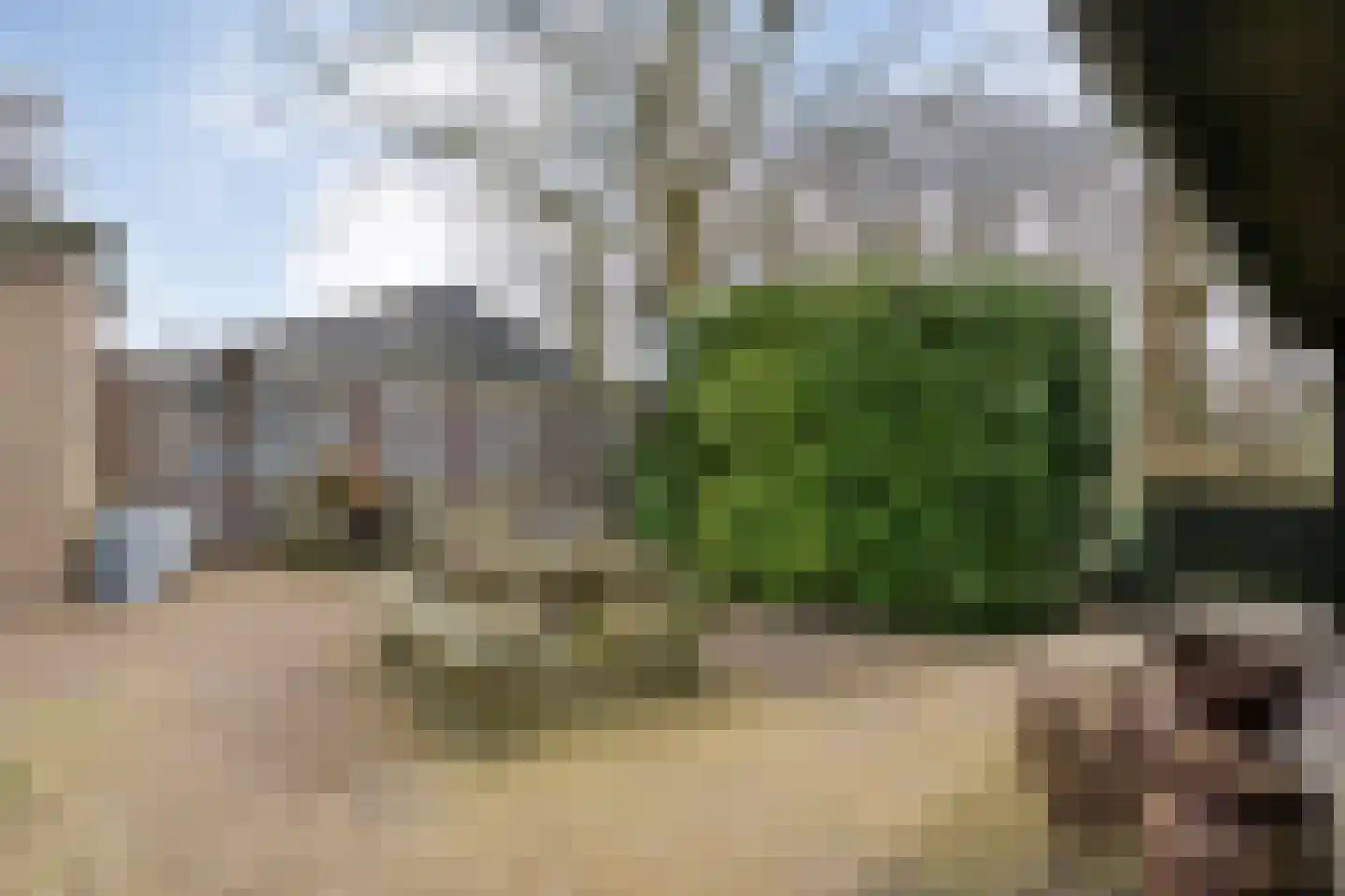 Langewijk 129 Dedemsvaart thumbnail 47