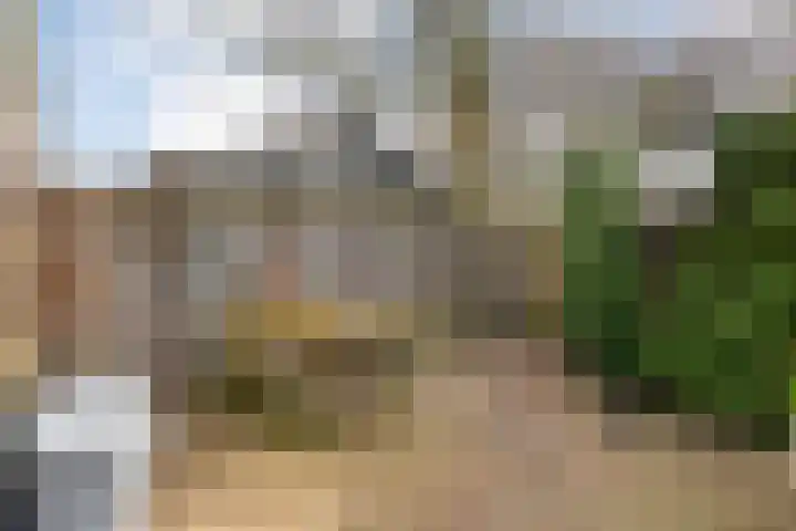 Langewijk 129 Dedemsvaart thumbnail 48
