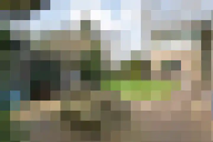 Langewijk 129 Dedemsvaart thumbnail 49