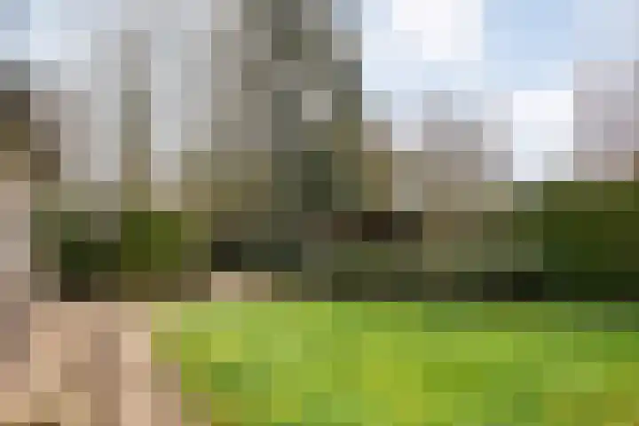 Langewijk 129 Dedemsvaart thumbnail 5