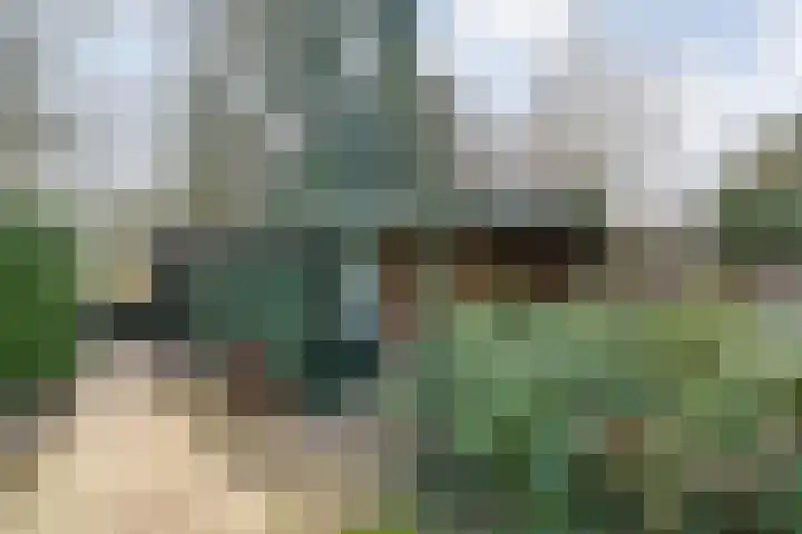 Langewijk 129 Dedemsvaart thumbnail 50