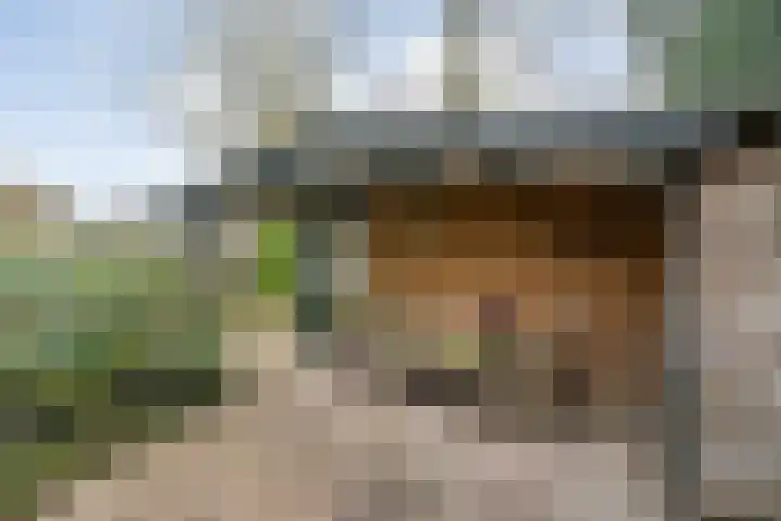 Langewijk 129 Dedemsvaart thumbnail 51