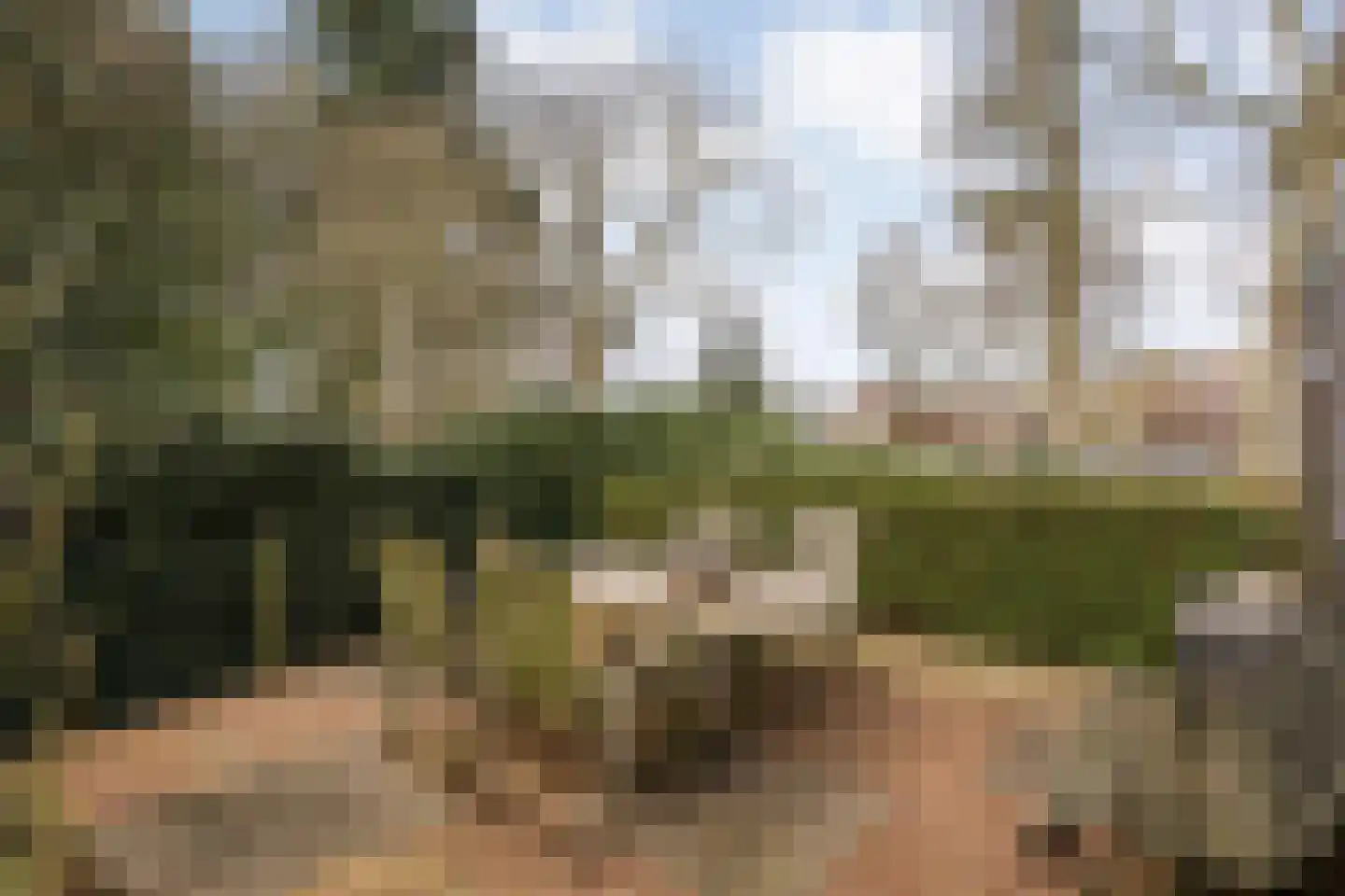 Langewijk 129 Dedemsvaart thumbnail 53