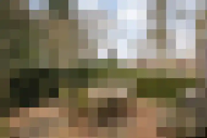 Langewijk 129 Dedemsvaart thumbnail 53