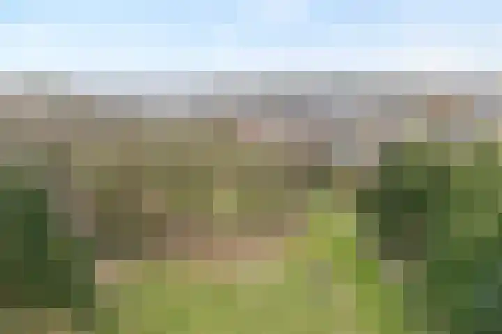 Langewijk 129 Dedemsvaart thumbnail 56