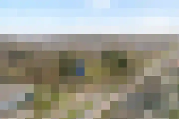 Langewijk 129 Dedemsvaart thumbnail 58