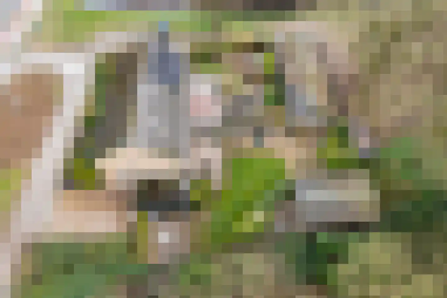 Langewijk 129 Dedemsvaart thumbnail 6