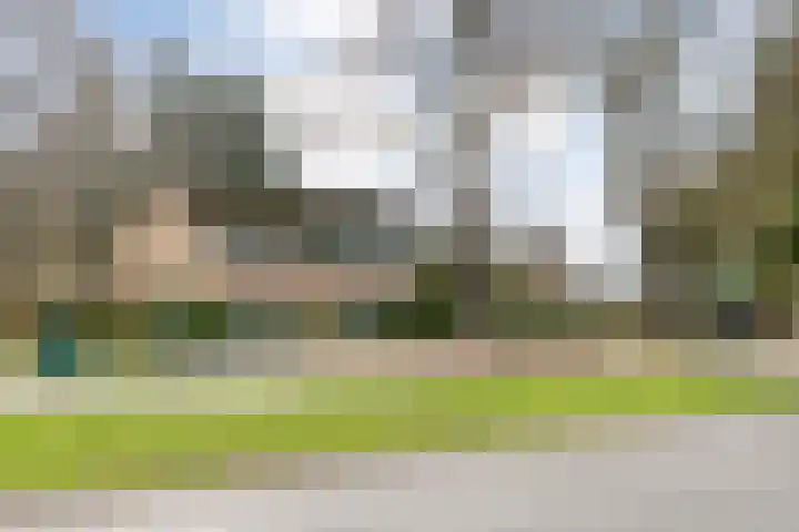 Langewijk 129 Dedemsvaart thumbnail 61