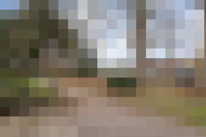Langewijk 129 Dedemsvaart thumbnail 62