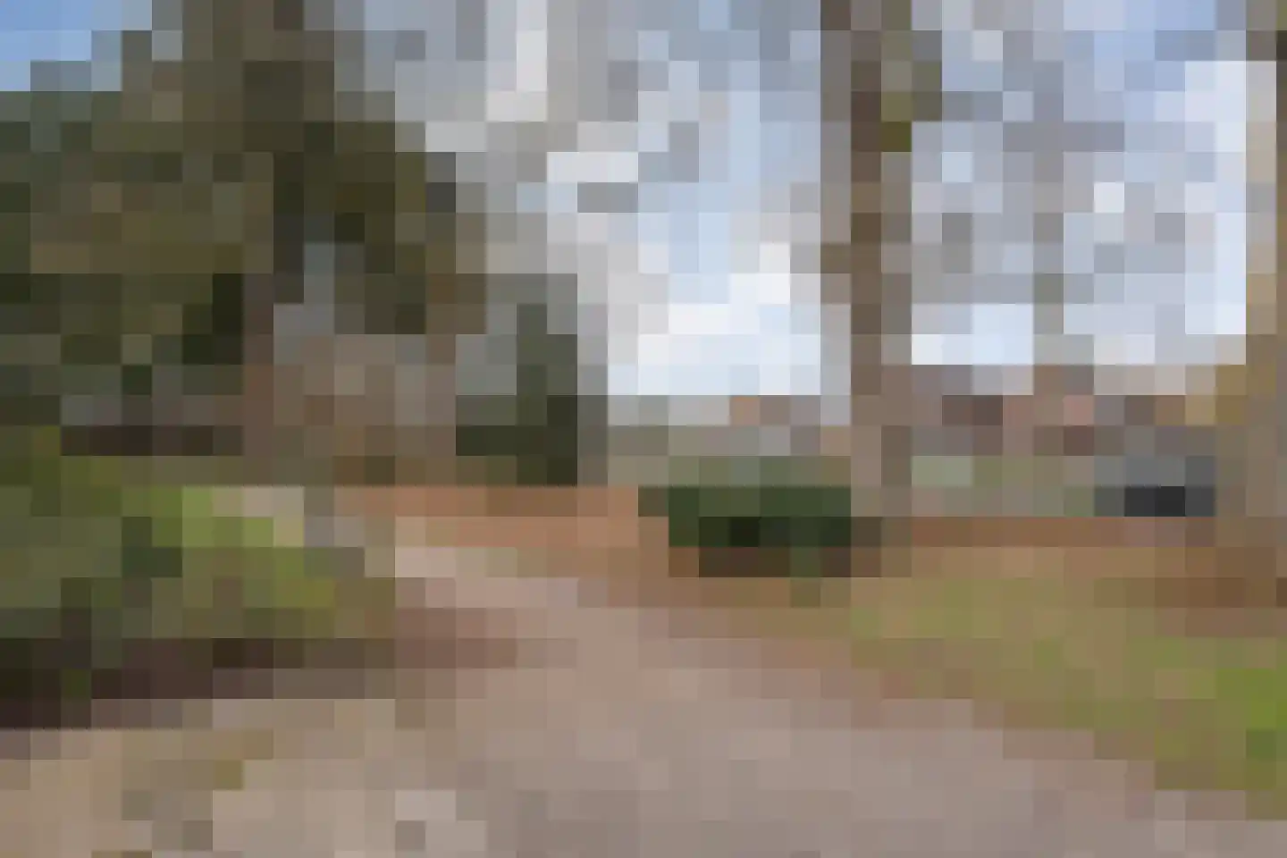 Langewijk 129 Dedemsvaart thumbnail 62