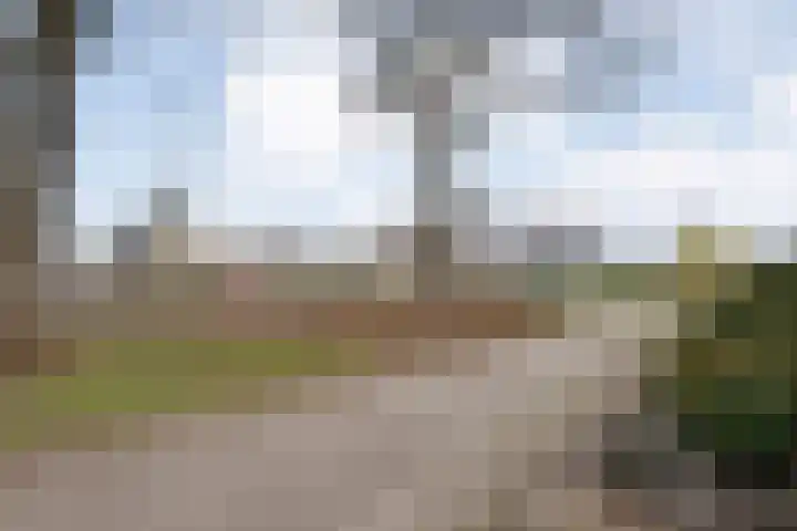 Langewijk 129 Dedemsvaart thumbnail 63
