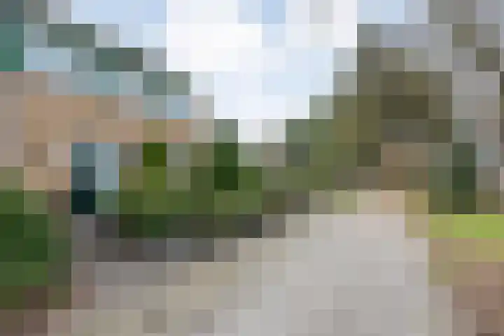 Langewijk 129 Dedemsvaart thumbnail 67