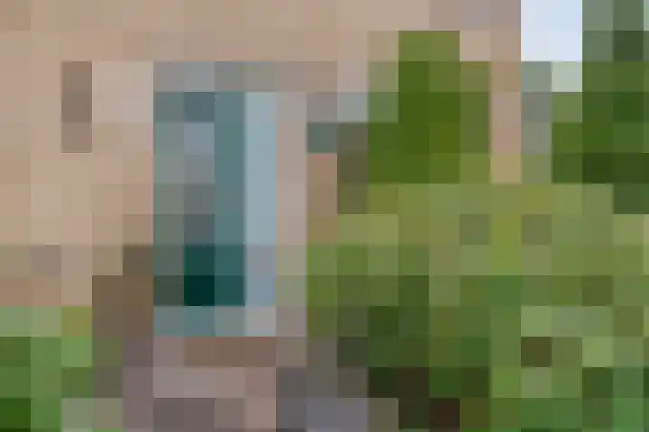 Langewijk 129 Dedemsvaart thumbnail 69