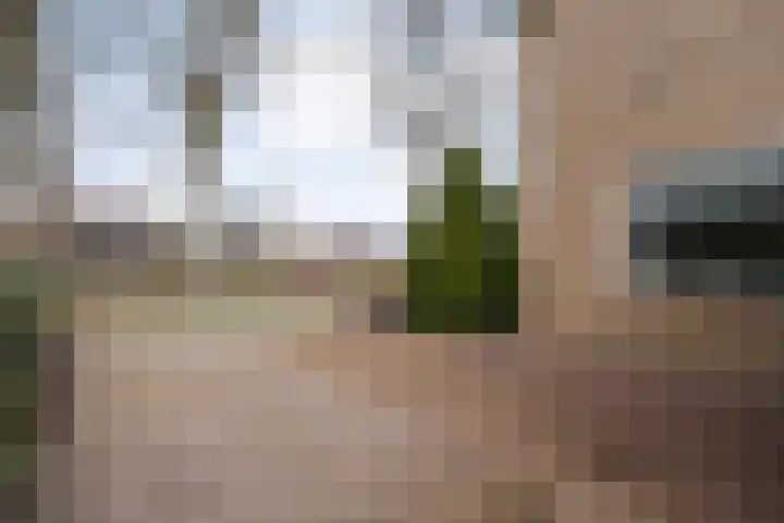 Langewijk 129 Dedemsvaart thumbnail 70