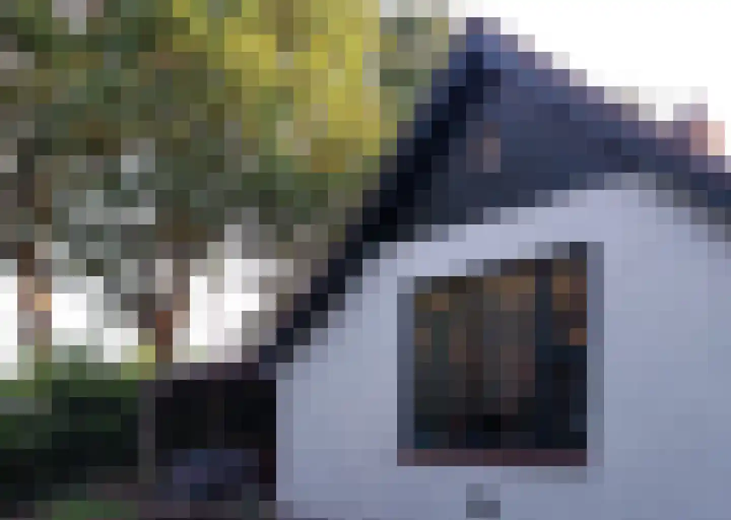 Langewijk 143 Elim foto 2