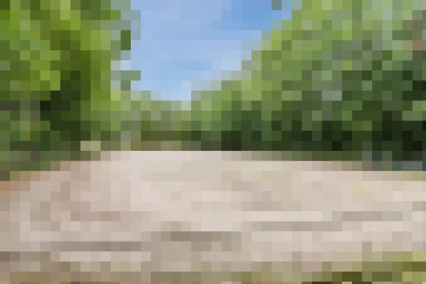 Langewijk 143 Elim thumbnail 21