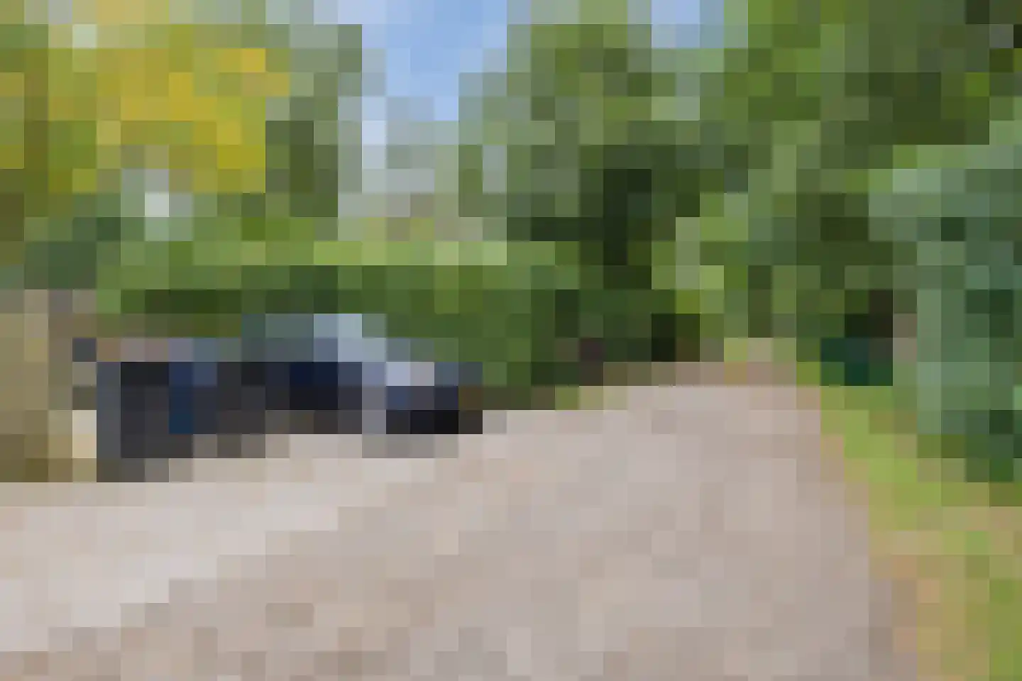 Langewijk 143 Elim thumbnail 22