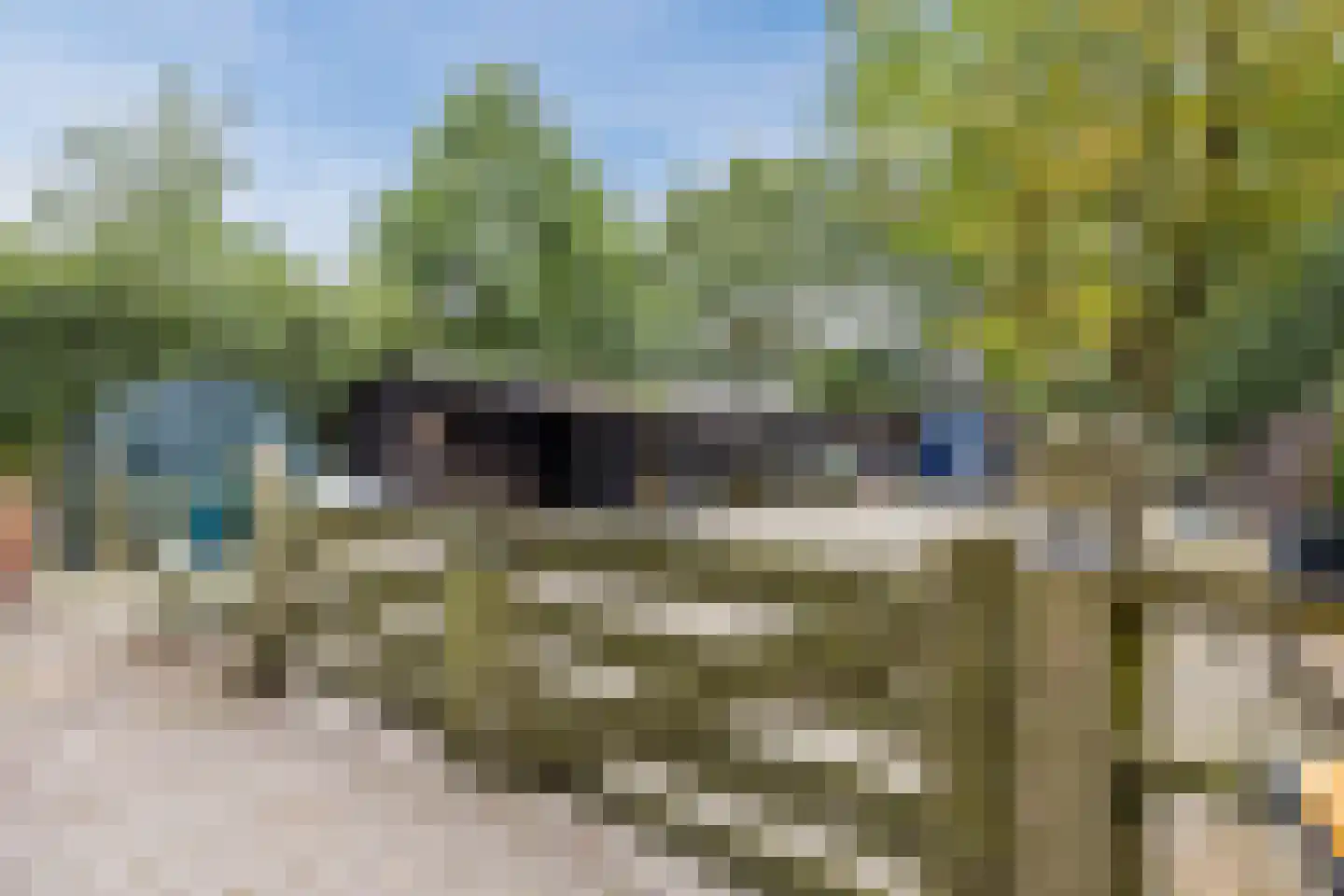 Langewijk 143 Elim thumbnail 23