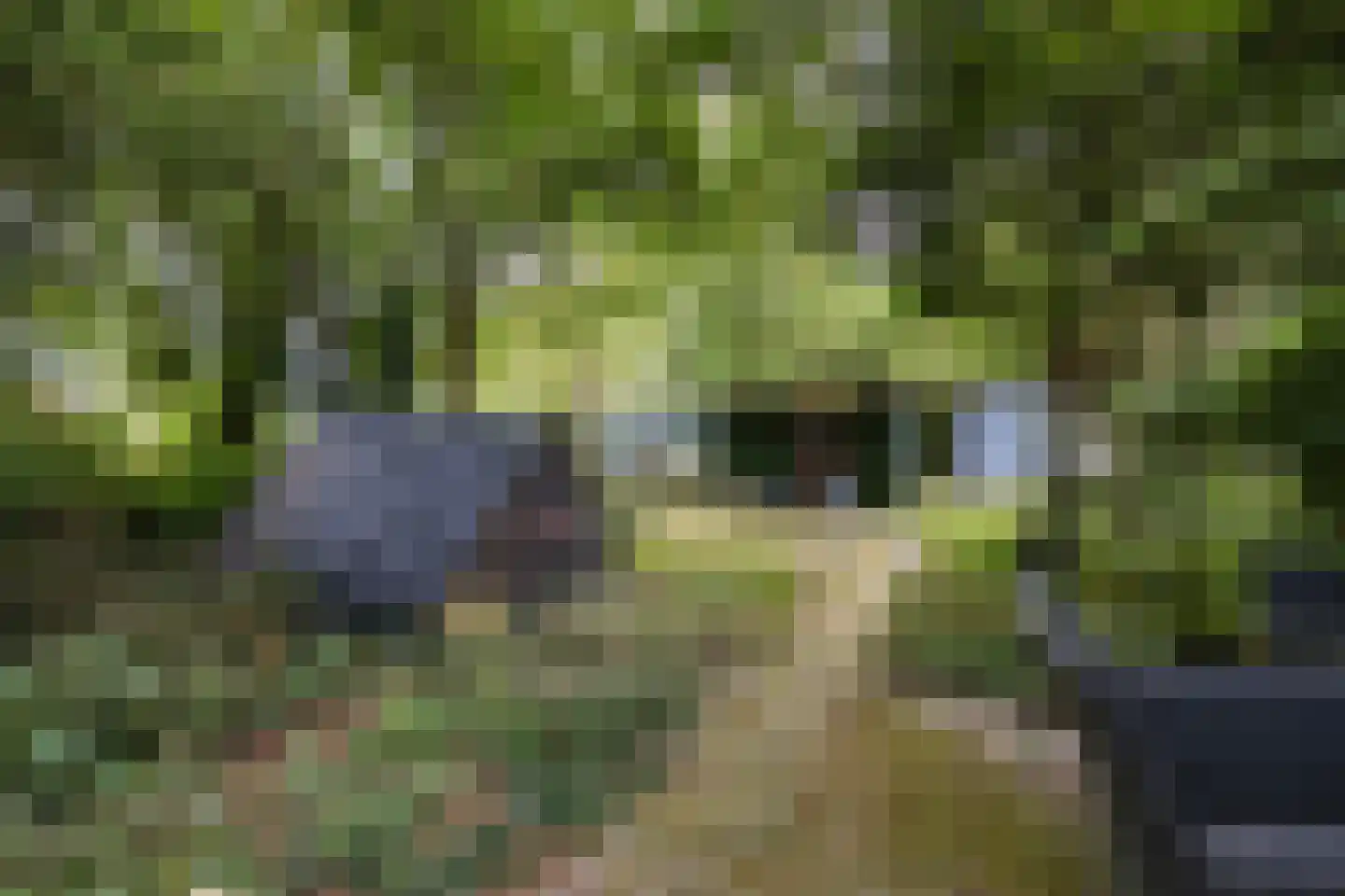 Langewijk 143 Elim thumbnail 24